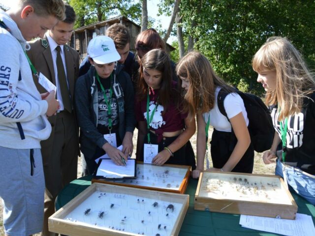 V edycja Konkursu „Dzień dla Szkół” pt. „Puszcza Białowieska – dziedzictwo ludzkości”