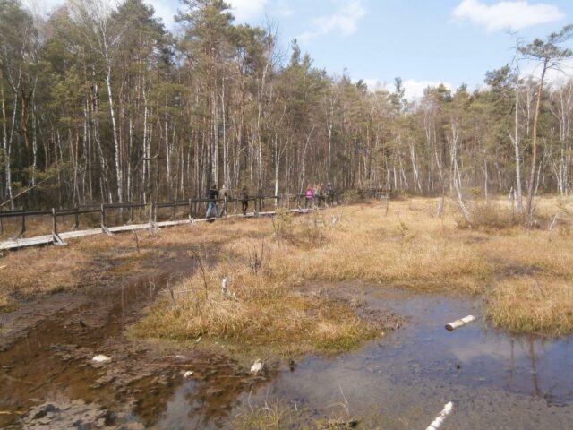 Wycieczka Szkolnego Koła PTL do Nadleśnictwa Celestynów