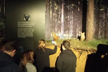 Pierwszy Dzień Wiosny 2022