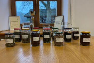 Karnawałowa przygoda w przedszkolu