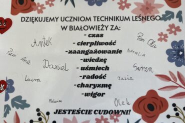 POTEELKA – skąd takie imię?