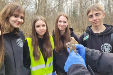 „Kultura Bezpieczeństwa” program edukacyjno – informacyjny Państwowej Inspekcji Pracy