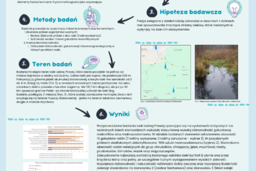 „Kultura Bezpieczeństwa” program edukacyjno – informacyjny Państwowej Inspekcji Pracy