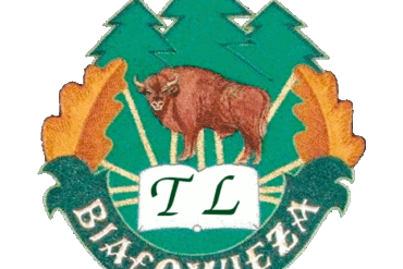 Lista kandydatów zakwalifikowanych i kandydatów niezakwalifikowanych. Rekrutacja 2025/2026