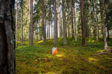 Ogłoszenie o zamówieniu publicznym