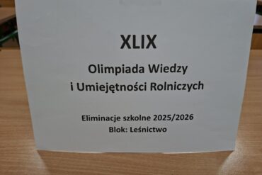Maturzyści w Tatrach – chwile wytchnienia przed dorosłością