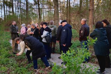 🎓🌲 Uroczyste pożegnanie absolwentów Technikum Leśnego w Białowieży 🌲🎓