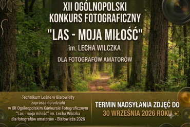 Ogłoszenie o zamówieniu publicznym